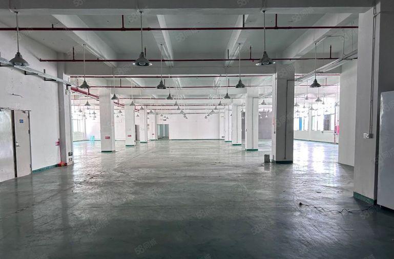 观澜茜坑原房东2000平花园式厂房出租带精装修办公室 可分租