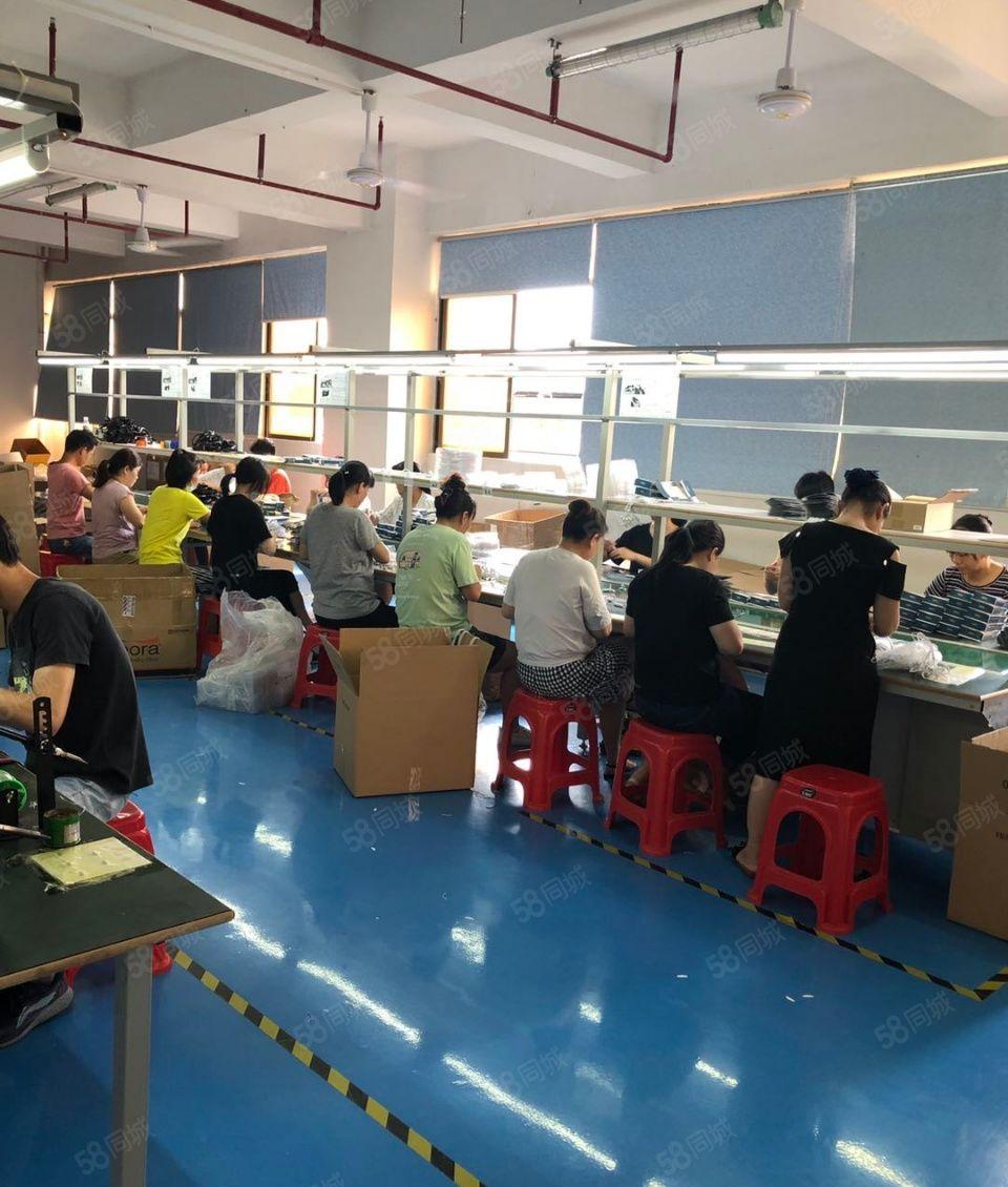 龙华大浪原房东楼上700平方现成精装修办公室红本厂房出租分租