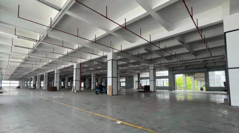 特价25 龙华20万平物流仓建筑面积出租 适合各类仓库行业