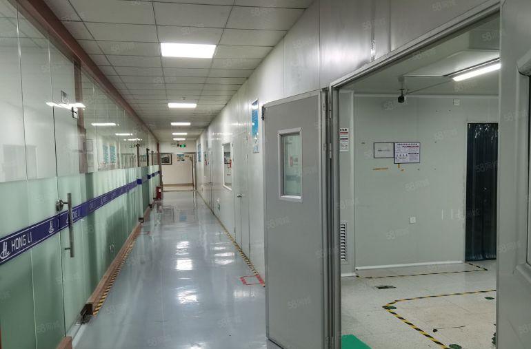 观澜章阁无尘车间精装修出租1000平方，原房东无转让费可分租