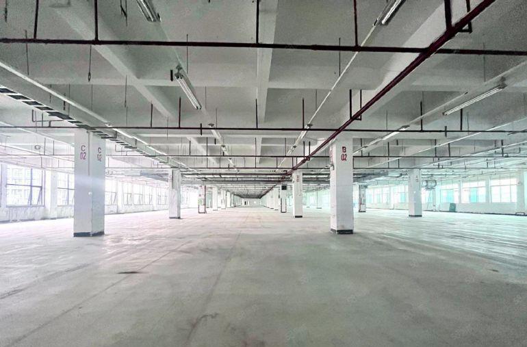 1000平起独门独院原房东工业红本厂房实际面积出租周边配套齐