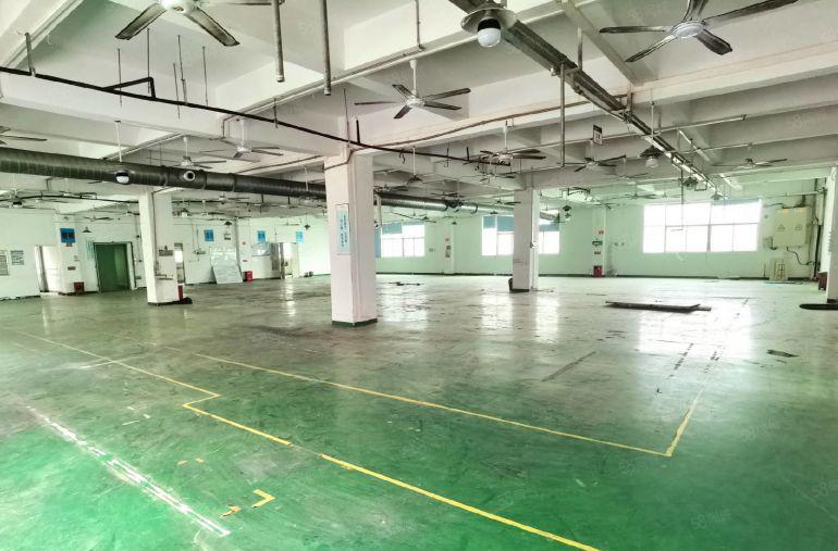 大浪商业中心整栋9000平有宿舍，1500平分租租金25元起