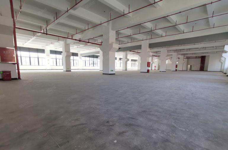 深圳龙华原房东独门独院一楼3000平办公仓库整租分租超大空地