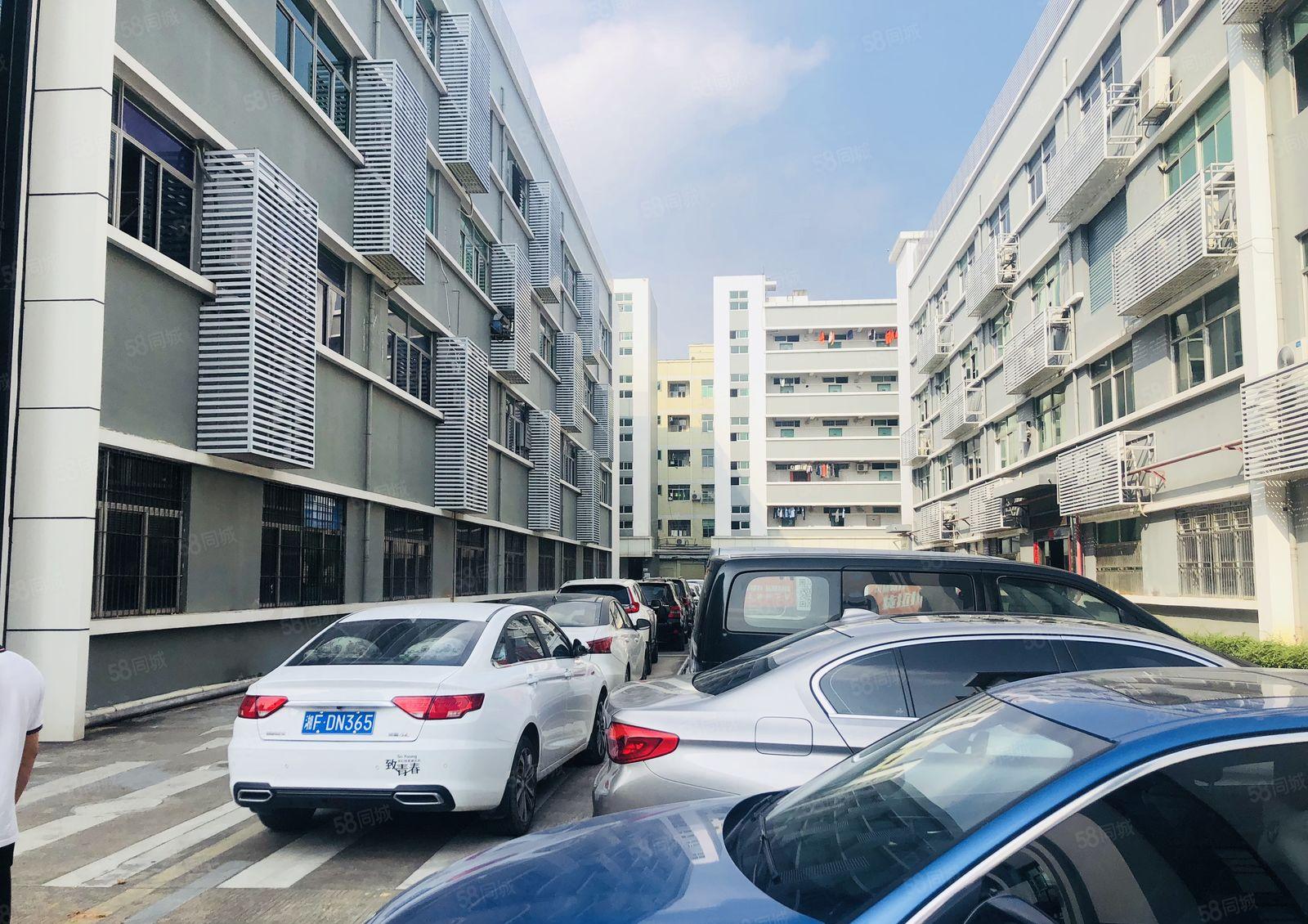 电商办公 龙华油松科技园楼上500平办公仓库厂房出租