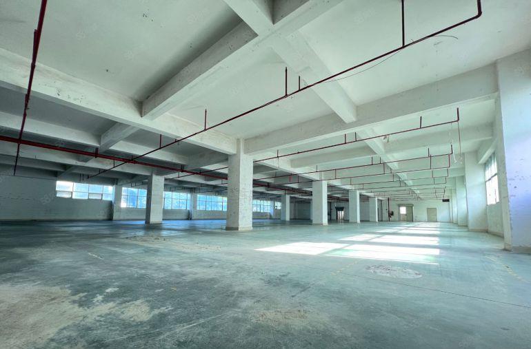 龙华清湖汽车站工业园厂房仓库出租2002000平大小可分租