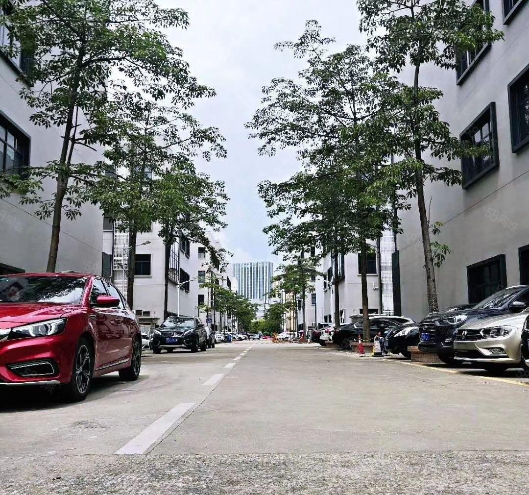 龙华建筑面积出租独栋独院6000平厂房出租可分租工业园仓库租