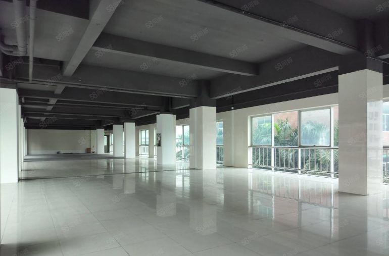 500平起分租深圳北全新红本小独栋4500平共4层有房租补贴