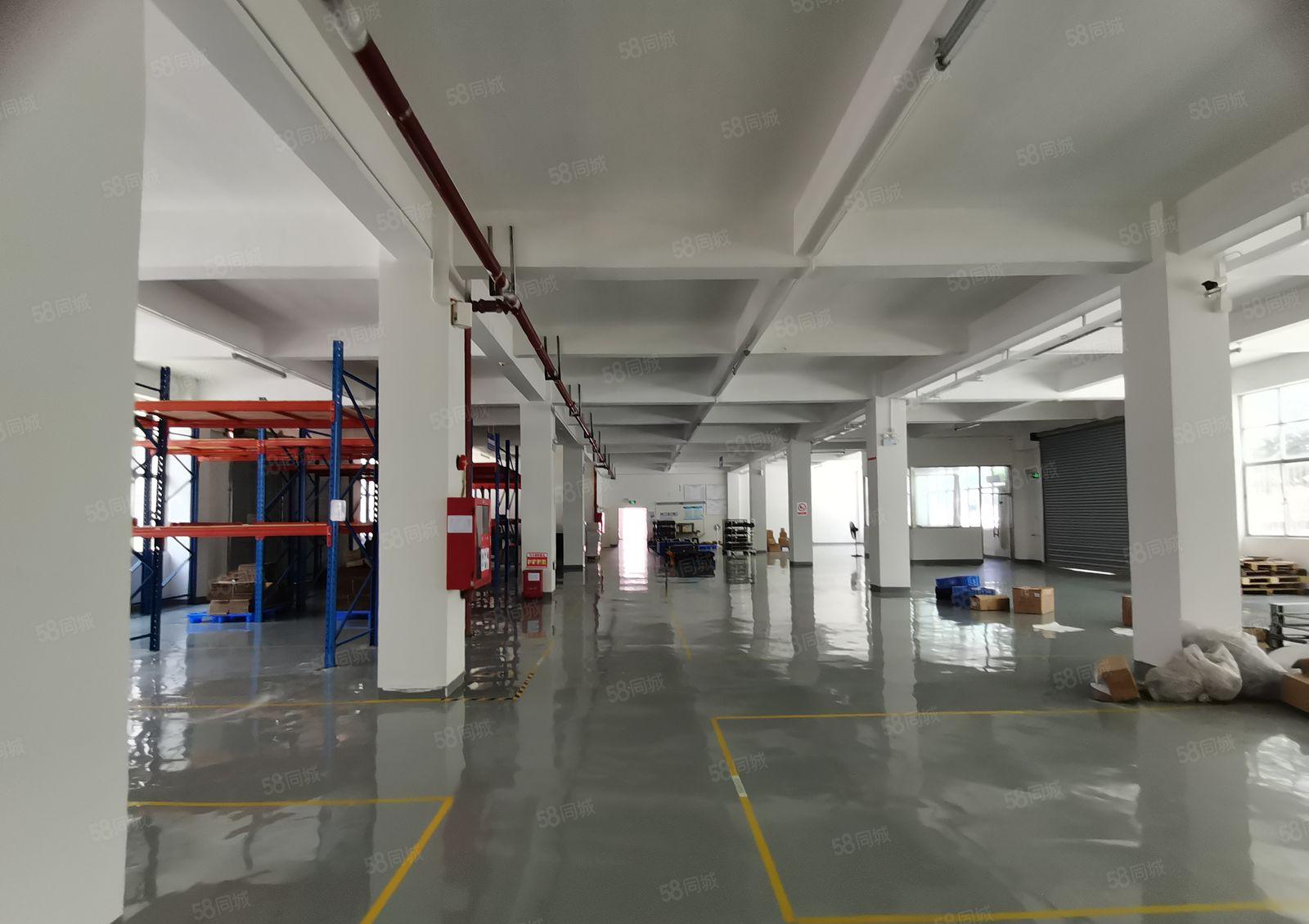 观澜大型工业园区楼上1600平，标准厂房，招租！