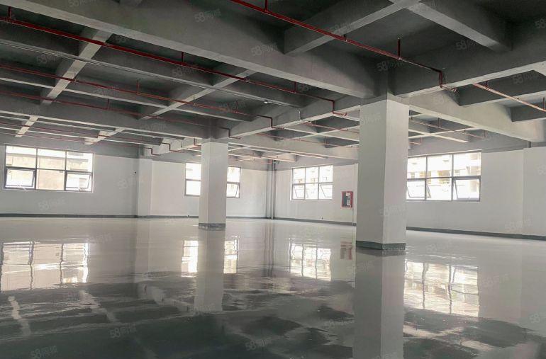 200平起租龙华大浪全新电商厂房仓库出租水电齐全大小可分租