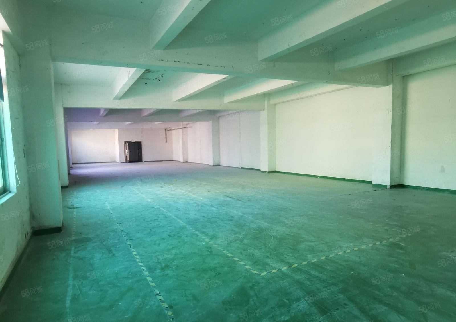 大浪新围一楼厂房出租大浪新围第二工业区一楼厂房出租