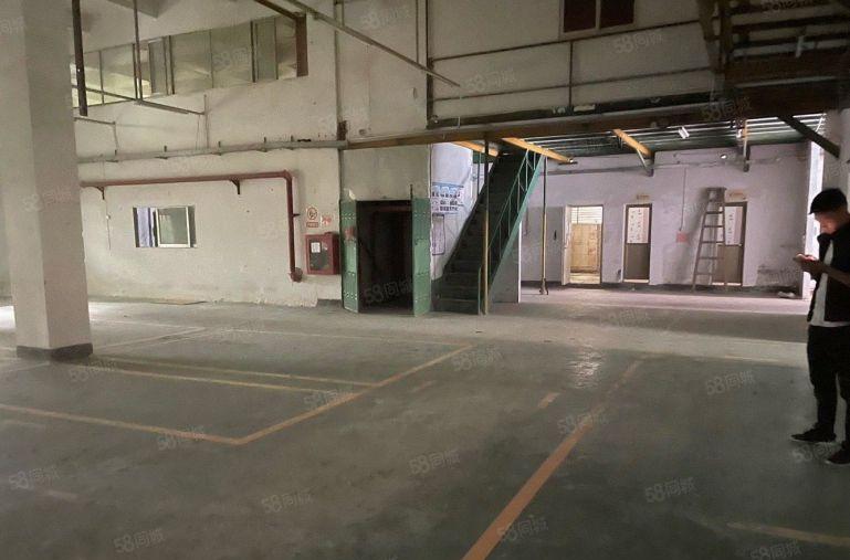 龙华大浪工业园一楼1000平厂房仓库低价出租层高7米可分租