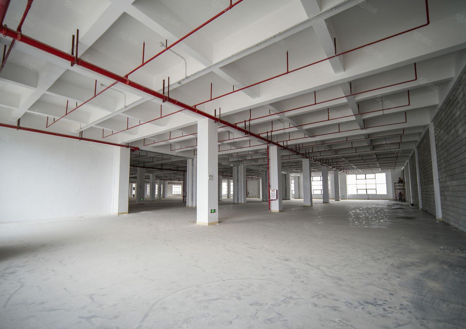 临深圳，黄江整层7750平米工业厂房业主直租，形象好可办环评