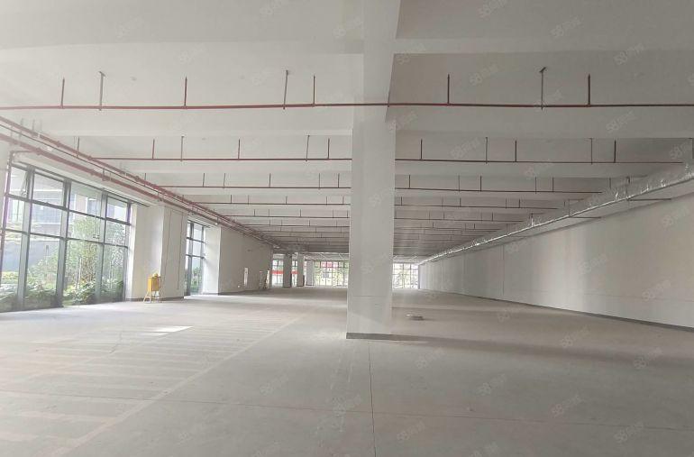 开发商直租红本厂房5000平方出租大小可分租可办环评交通便利