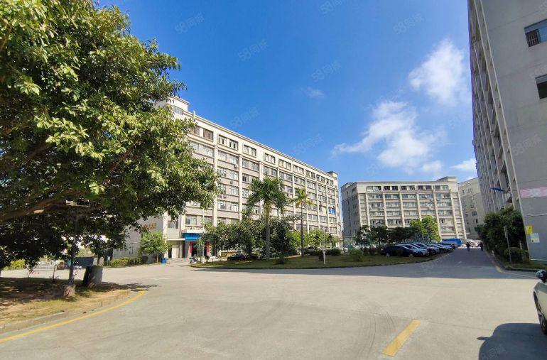 观澜樟坑原房东红本1000标准厂房出租 现成办公室跟车间