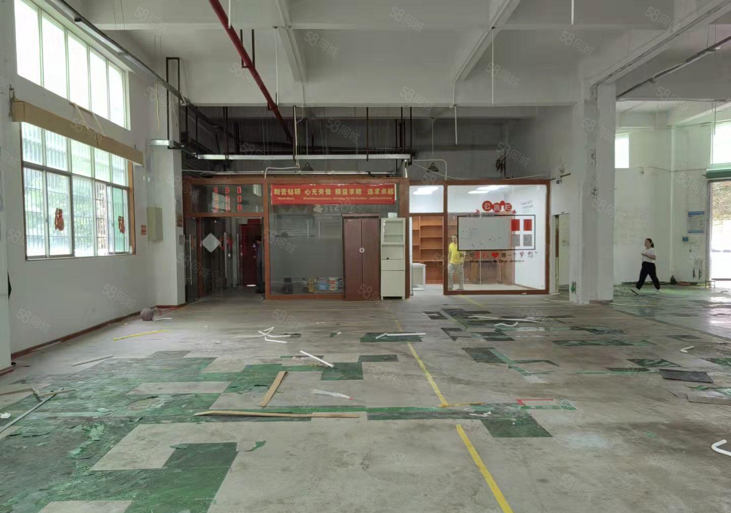 深圳龙华大浪浪口工业区1楼550平工业厂房出租。