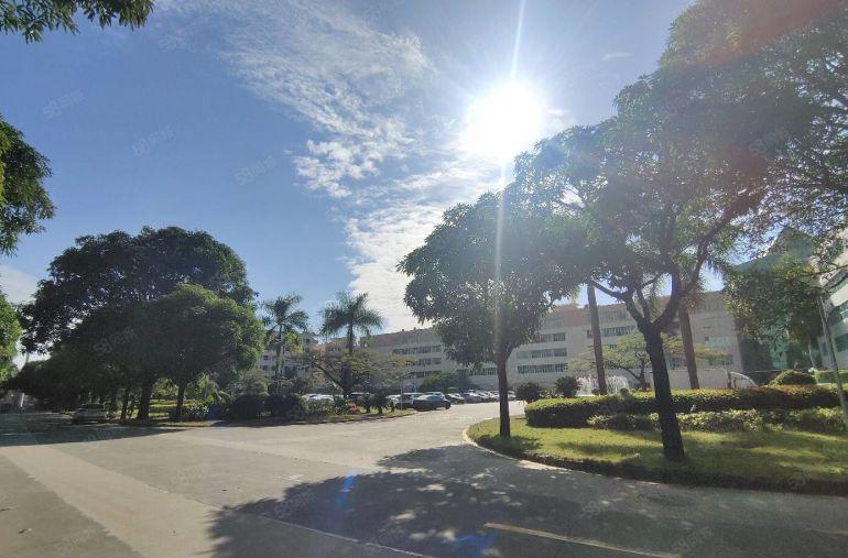 龙华大浪原房东1000厂房仓库出租 实用8成 200起