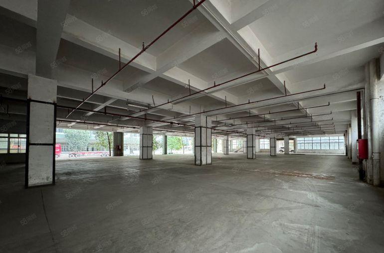 观澜原房东独院厂房出租200平起带卸货平台电商仓库分租