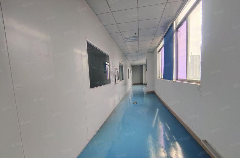 龙华清湖富士康北门附近原房东厂房出租1500平无尘车间精装修