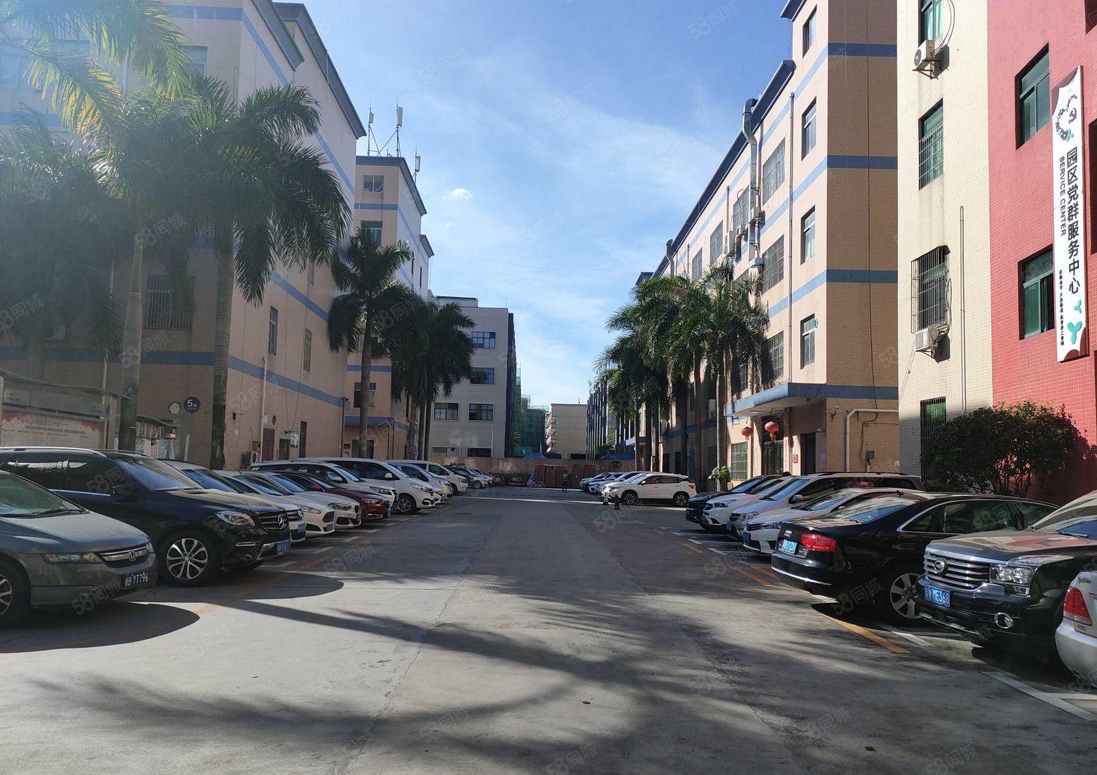 龙华大浪精装修1500平厂房出租可分租园区形象好仓库出租