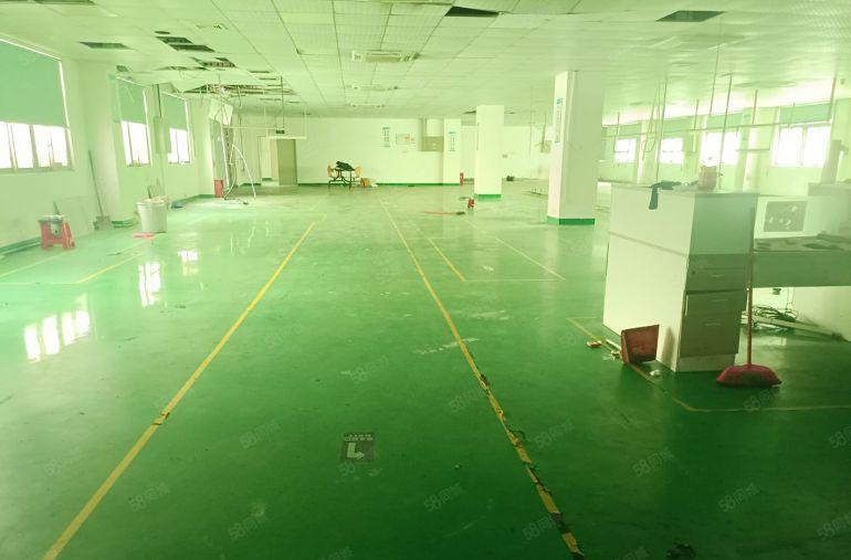 大浪龙大高速旁新出独栋6000平，单层1500平可分租空地大