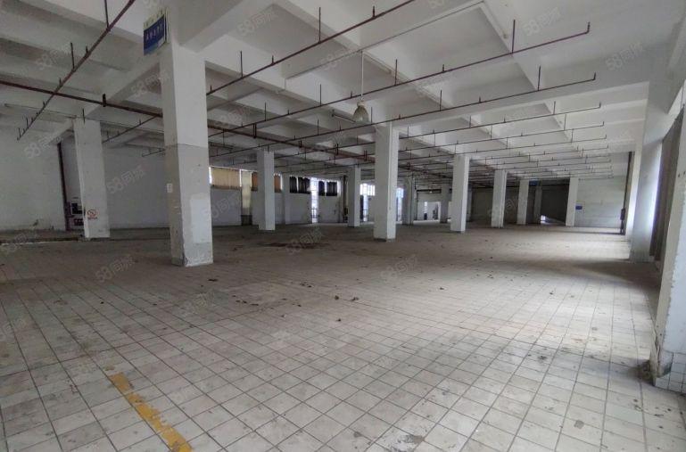 龙华元芬地铁花园厂房3000平出租 200平起园区停车位充足