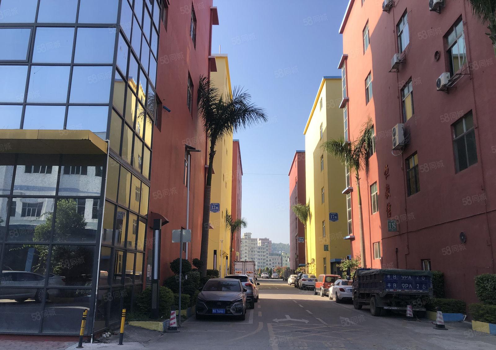 龙华清湖大型电商园楼上1680平带精装修厂房仓库出租可分组