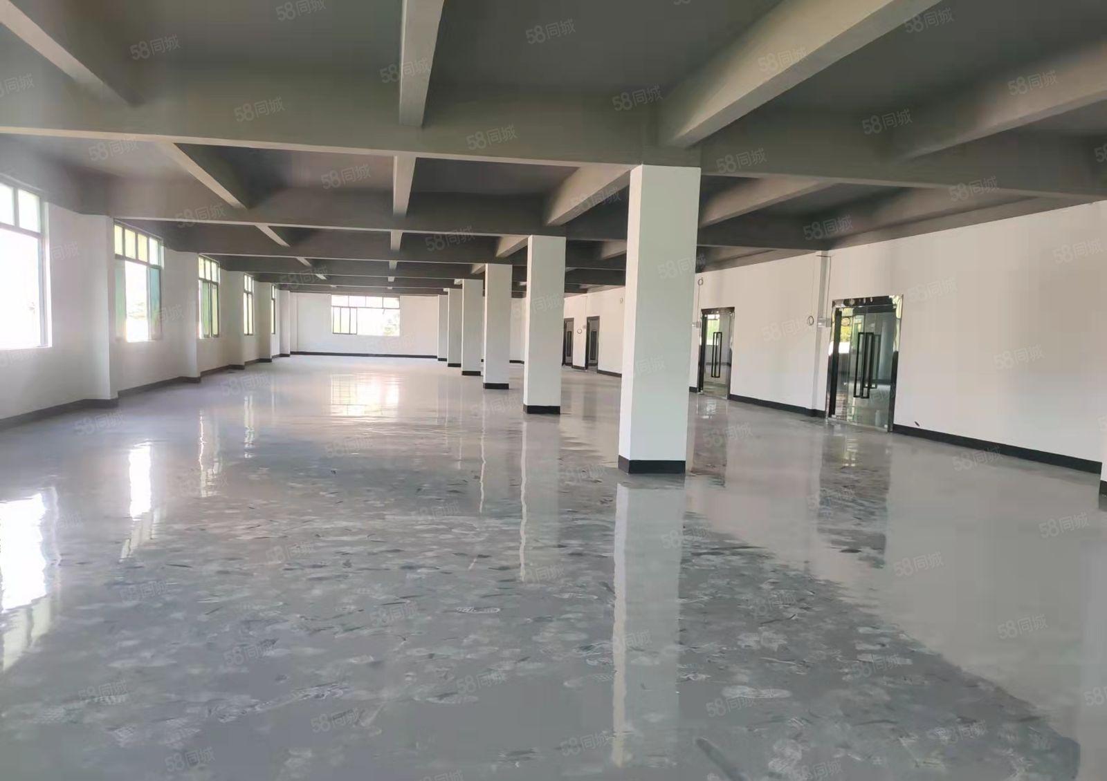 龙华大浪羊台山地铁站附近100~2000平精装办公厂房出租