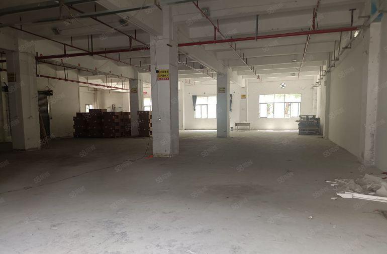 龙华大浪地铁口一楼1250平现成汽修厂房无转让费可分租500