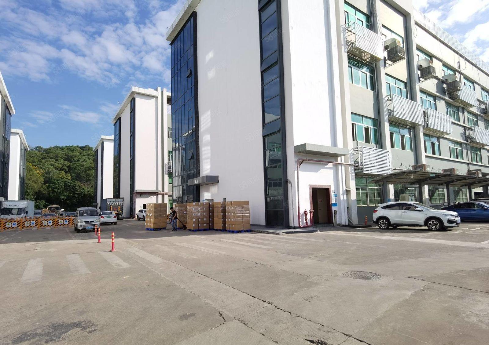 观澜上雪科技园楼上精装修500平厂房出租水电齐全停车位充足