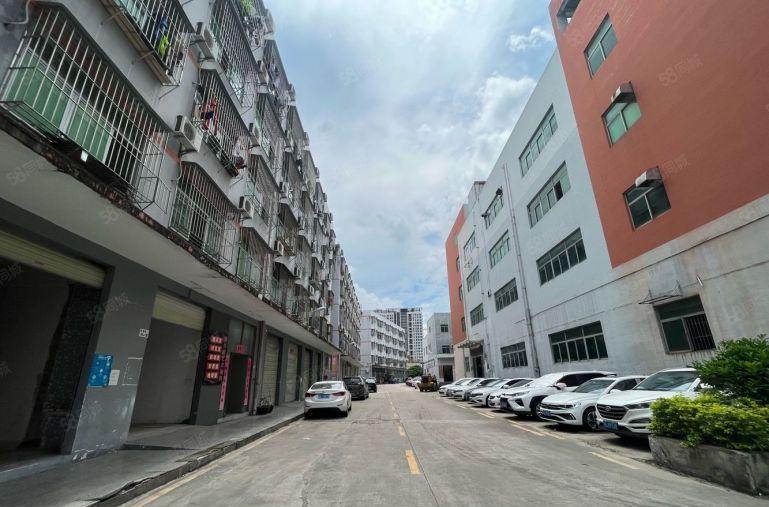 龙华大浪原房东新出楼上整层2600平方带双边卸货台出租！