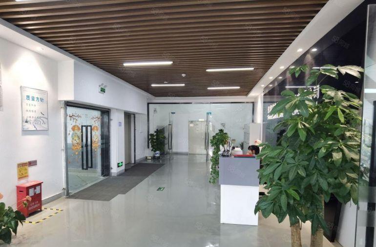 观澜精装修红本厂房出租一楼楼上3000平米原房东小面积200