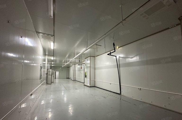 大浪高新园红本独栋37000平厂房仓库出租带无尘车间可分租