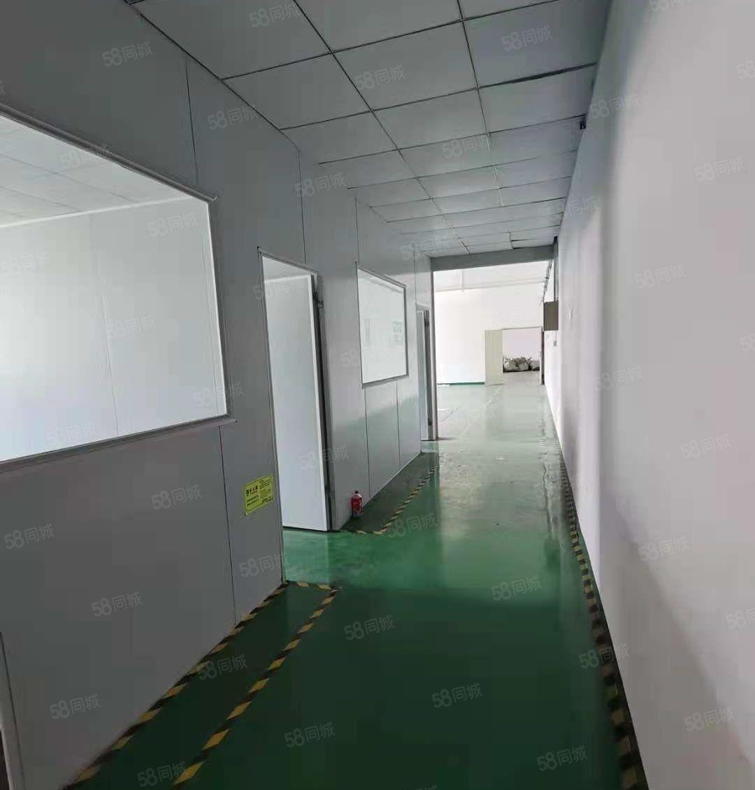 大浪河背工业园，厂房680平，租金便宜，行业不限，停车方便