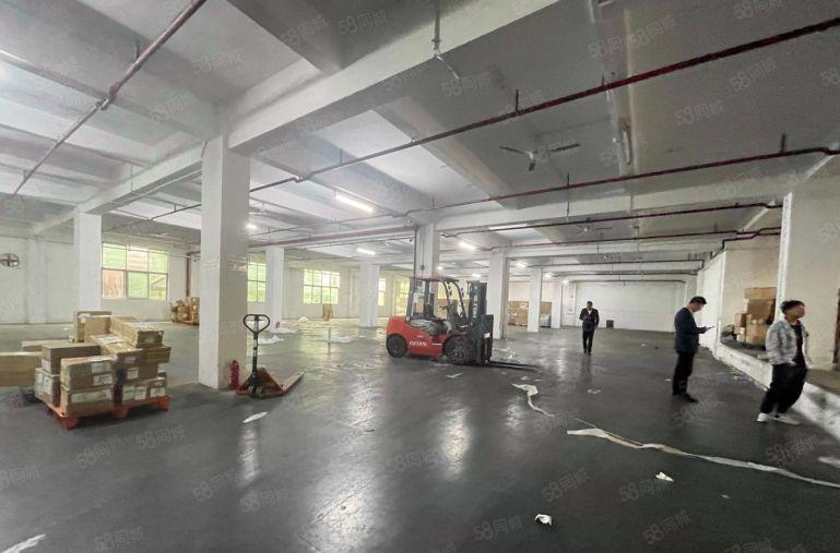 观澜桂花独院厂房出租5000平米可分租厂房300平米起