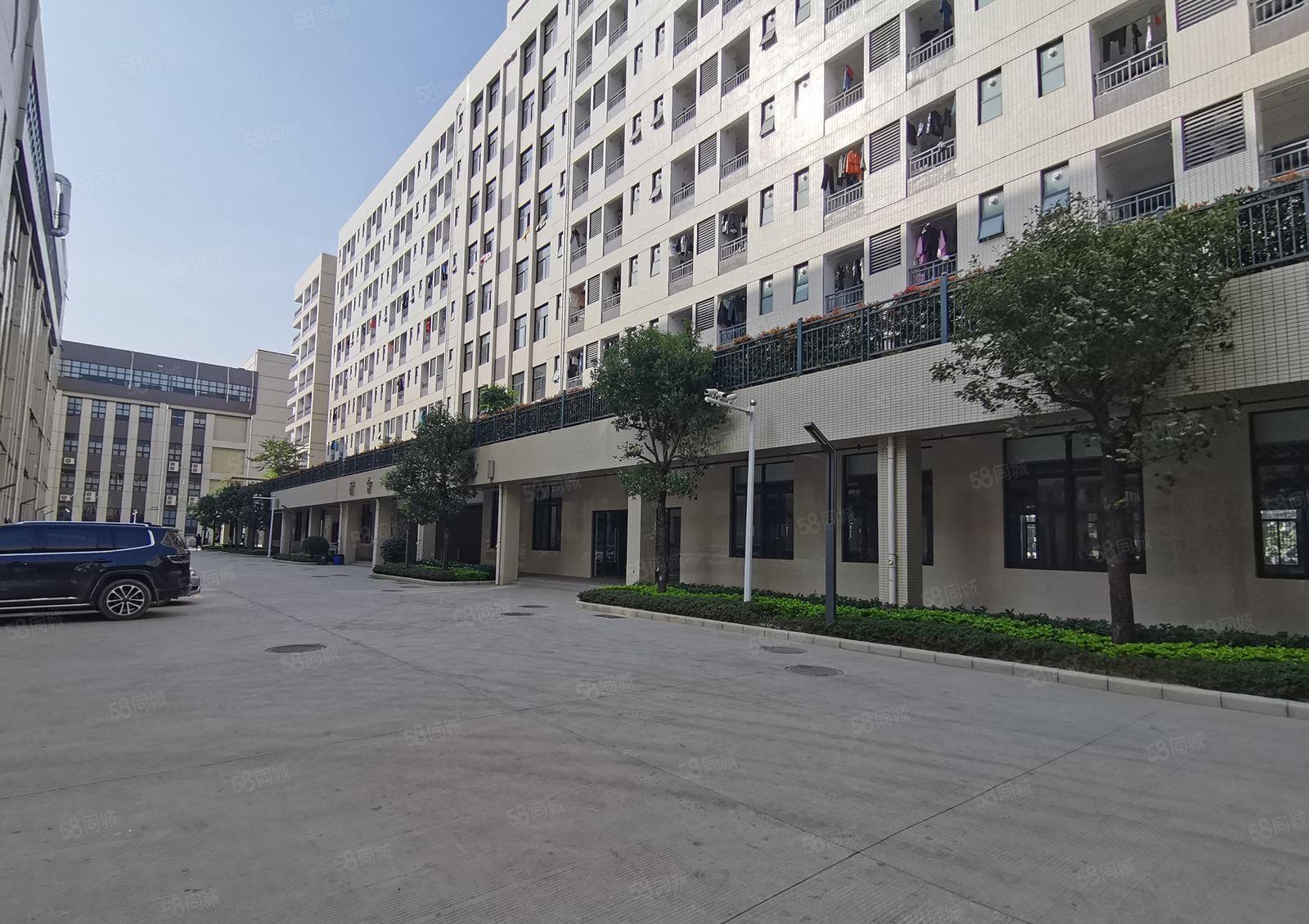 观澜福民工业区新出红本厂房仓库500到3000平原房东出租