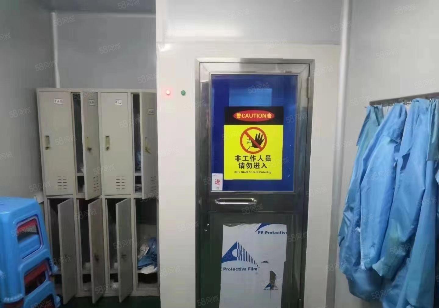 带无尘车间，周边人旺，好招工