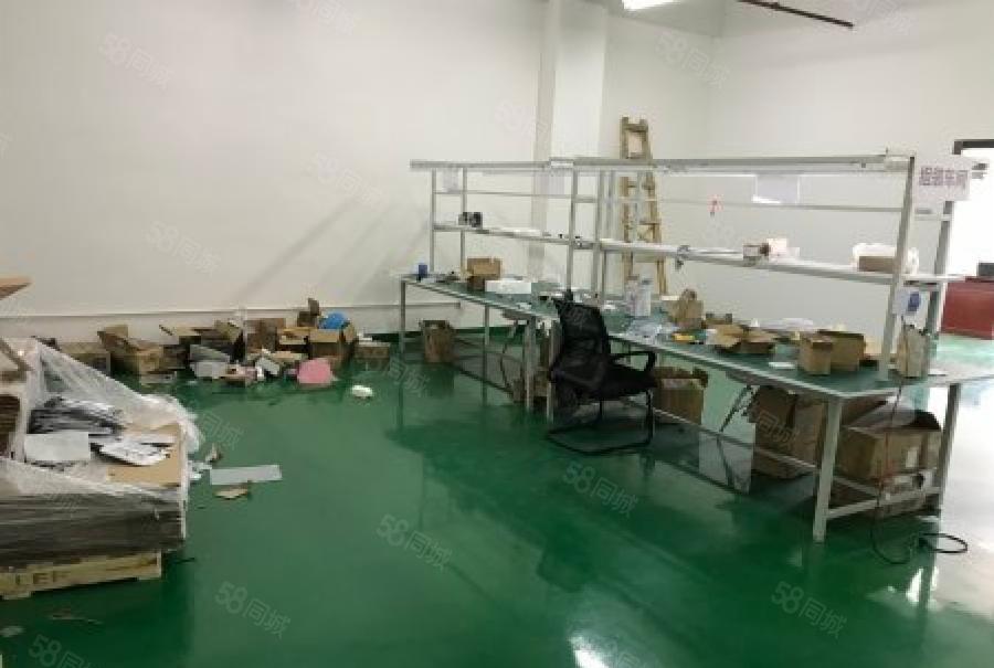 龙华大浪主干道边上现成装修厂房300平出租，没有转让费