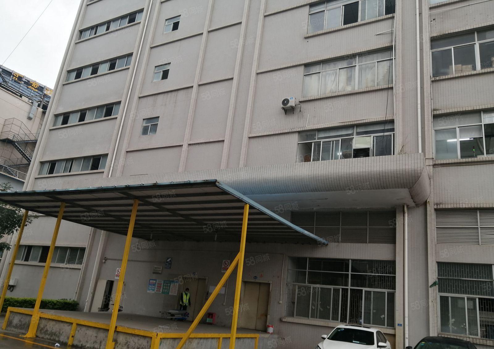 高新园区带红本二楼4800平带喷淋卸货平台带装修