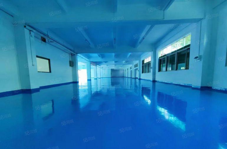 深圳观澜厂房出租4650平无尘车间超大空地高速路口整租分租