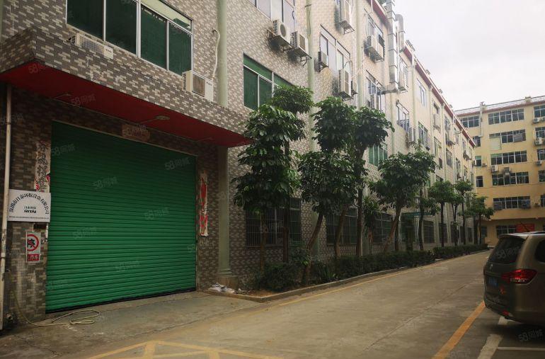 龙华区原房东一楼560平方和1640平方招租，实际面积33元