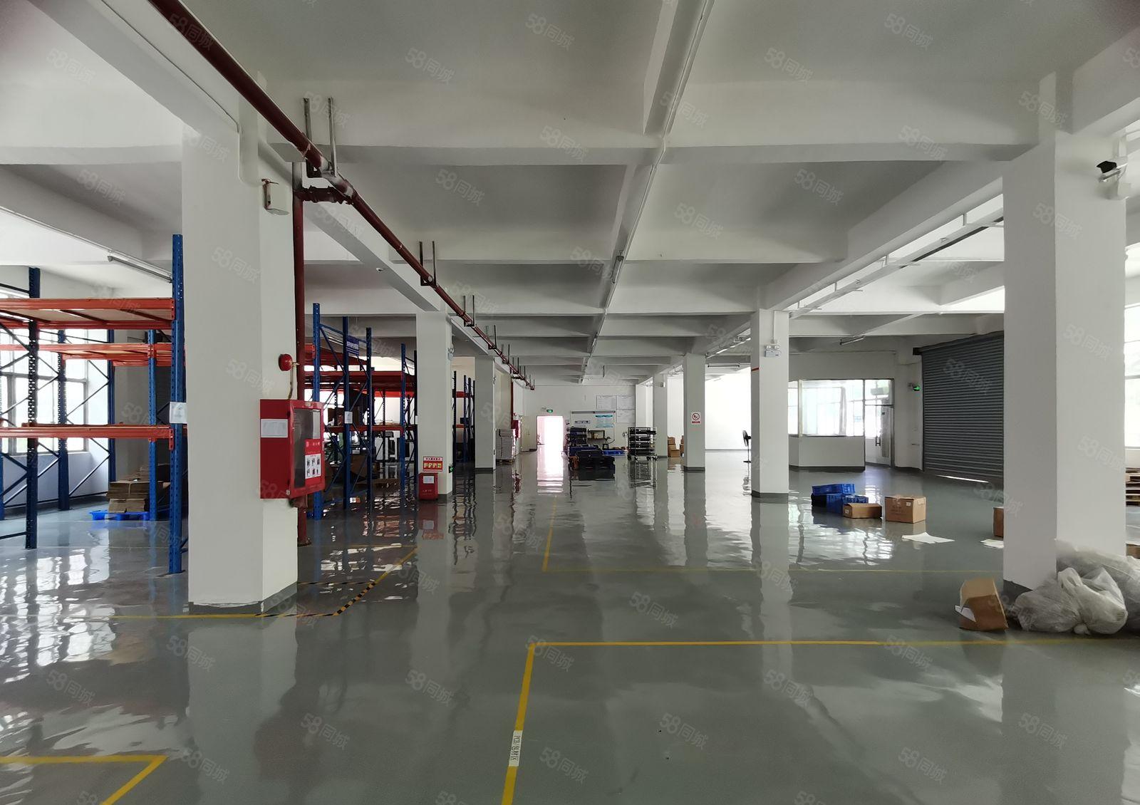 观澜大型工业园区楼上1600平，标准厂房，招租！