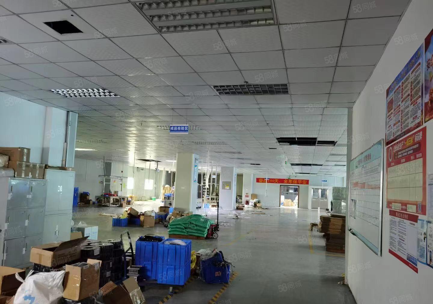 深圳观澜同富裕工业区新出12楼4000平方红本厂房低价出租