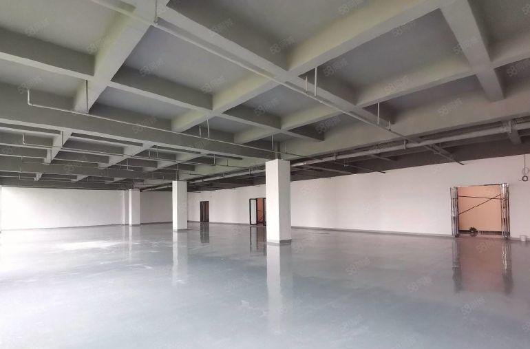 龙华双地铁口带装修红本研发楼厂房可办公1000平
