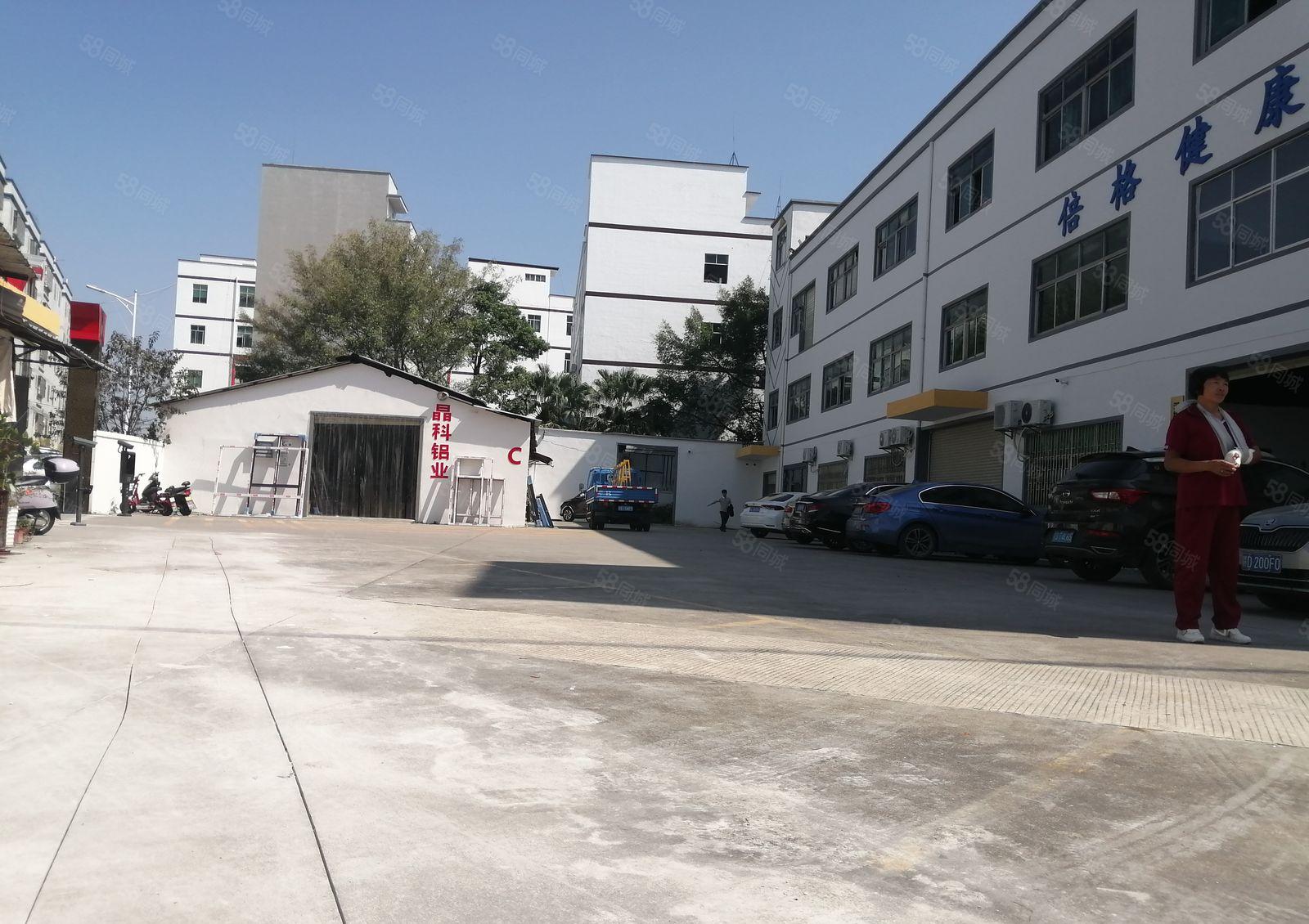 1500平观澜桂花路主干道旁豪华装修大气前台四间办公室