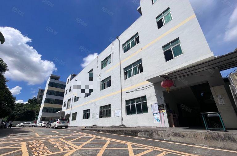 观澜独院厂房出租6000平电商仓库注塑设备冷库冷链大小可分租