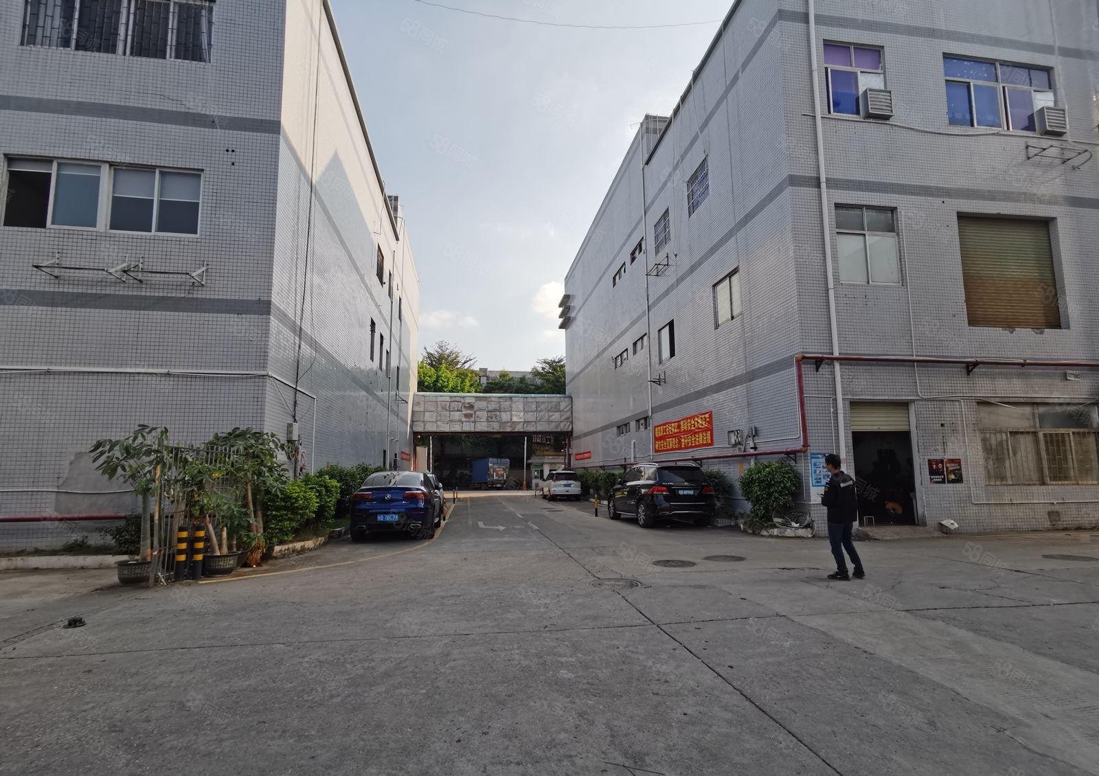 梅观高速出口独院厂房出租，面积1380平米现房出租