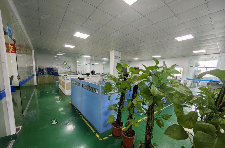 观澜大和原房东可分500.800.1000厂房出租独栋可整租