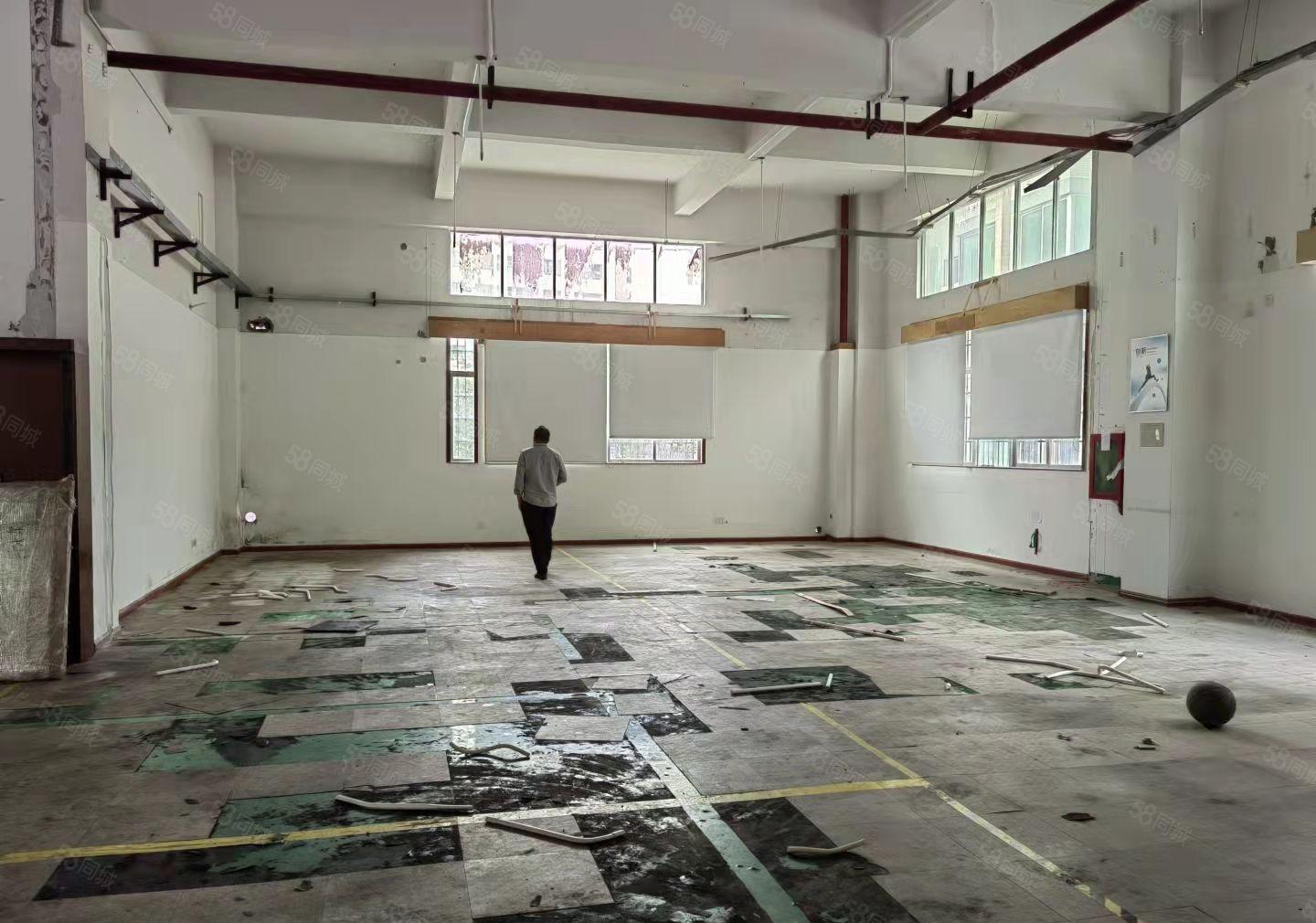 深圳龙华大浪浪口工业区1楼550平工业厂房出租。