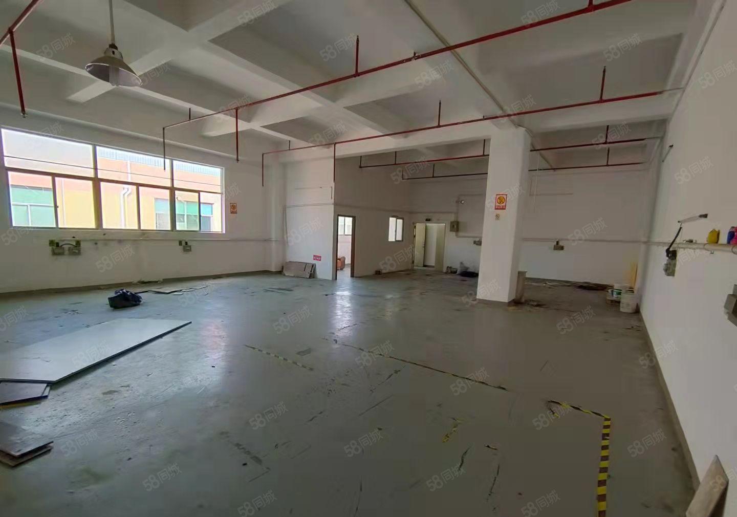 龙华大浪龙澜大道附近新出350精装厂房出租