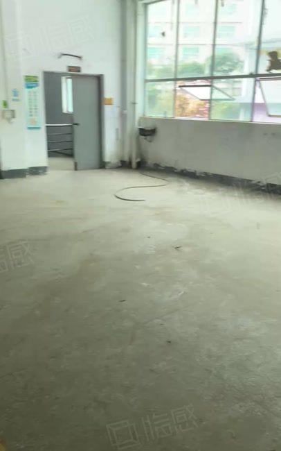 观澜G94高速路口两层小独栋招租，园区大，形象好